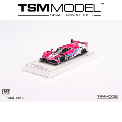 TSM MODEL Acura ARX-05 DPi #60 2022 IMSA Daytona 24 Hrs Winner 1:43 - TSM430615