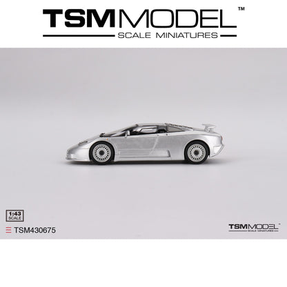 TSM MODEL Bugatti EB110 GT Grigio Chiaro 1:43 - TSM430675